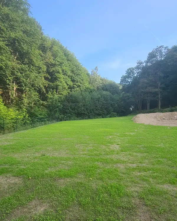 Vysetá luční směs - 1 měsíc od výsevu